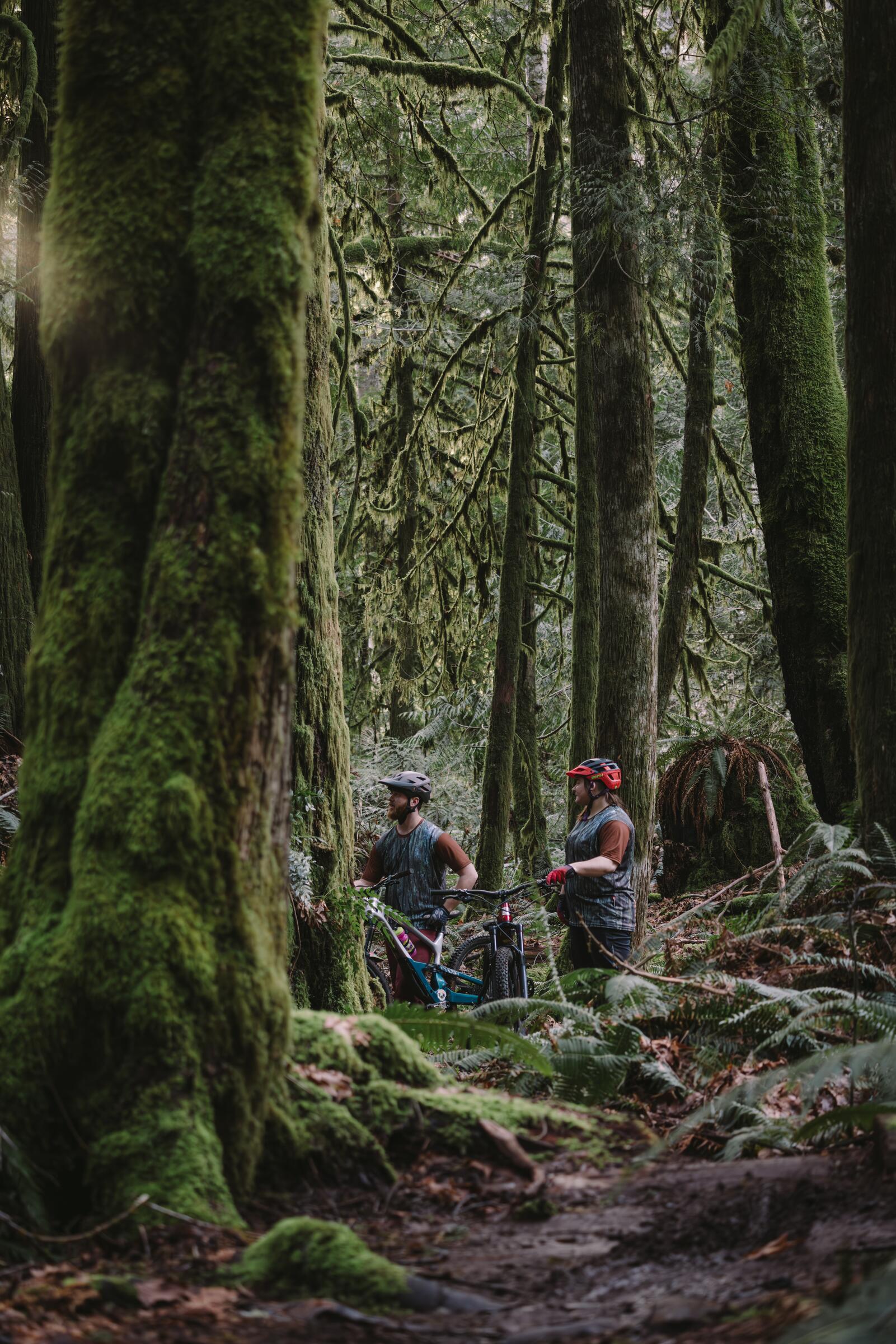 Log Train Trail - Sproat Lake