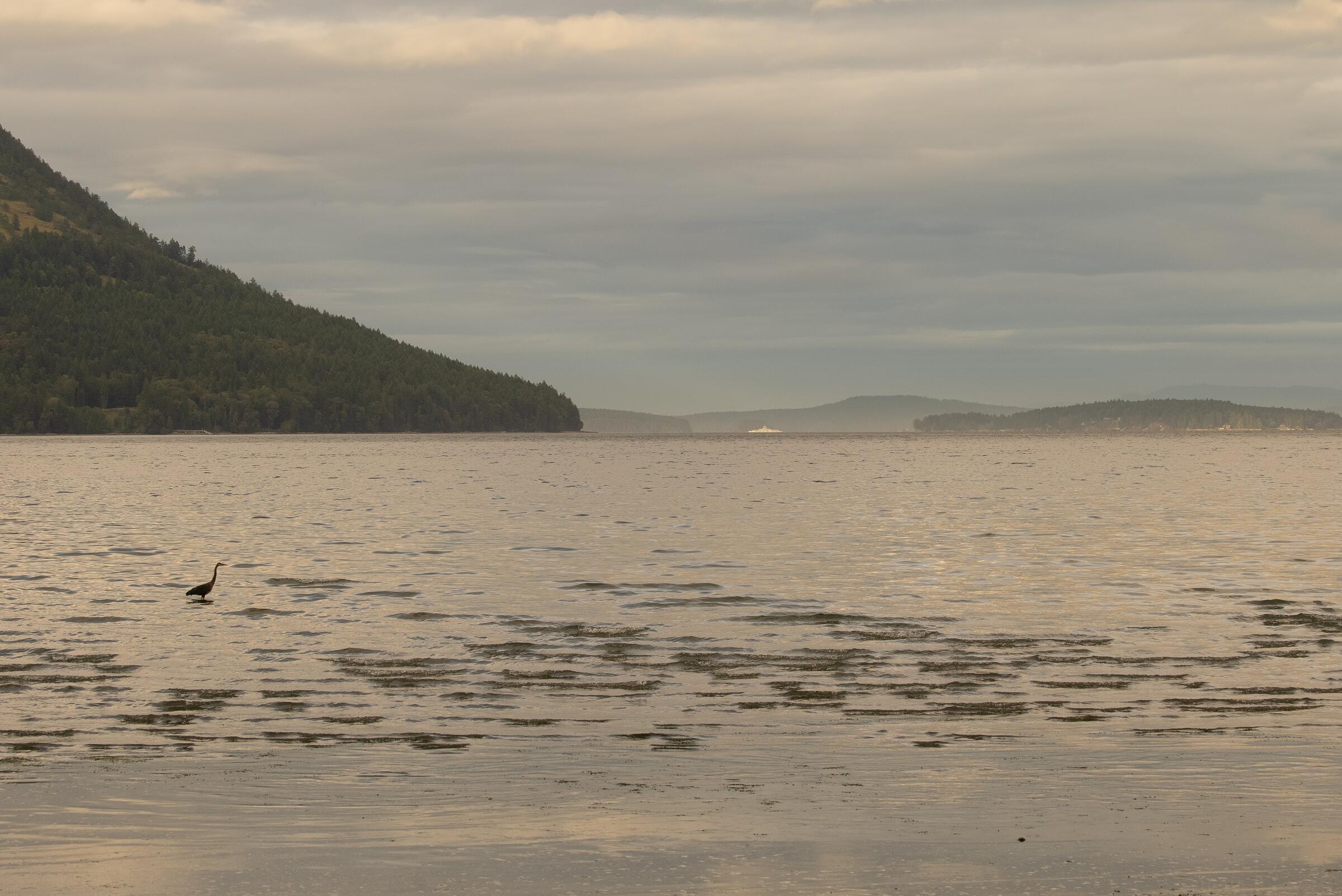 Victoria - Port Renfrew - Lake Cowichan - Duncan - Victoria