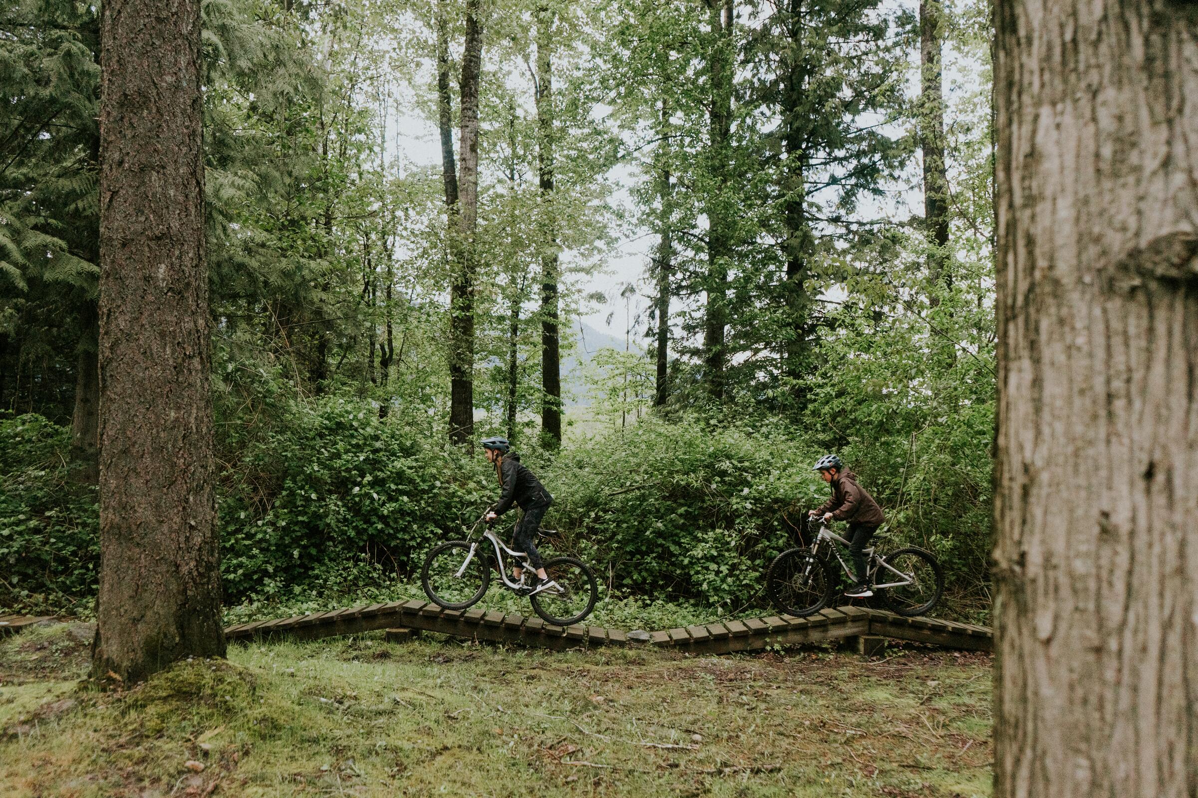 Golden Ears Hundo