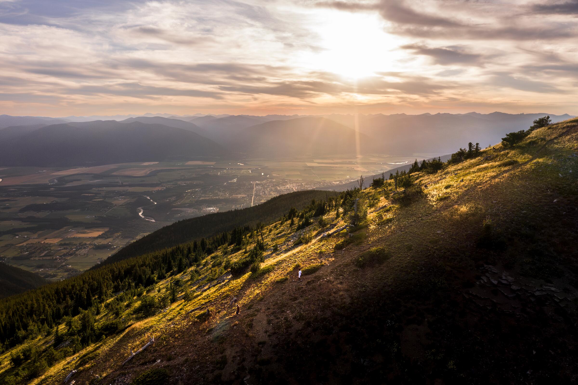 Selkirk Splendor (BC Only)