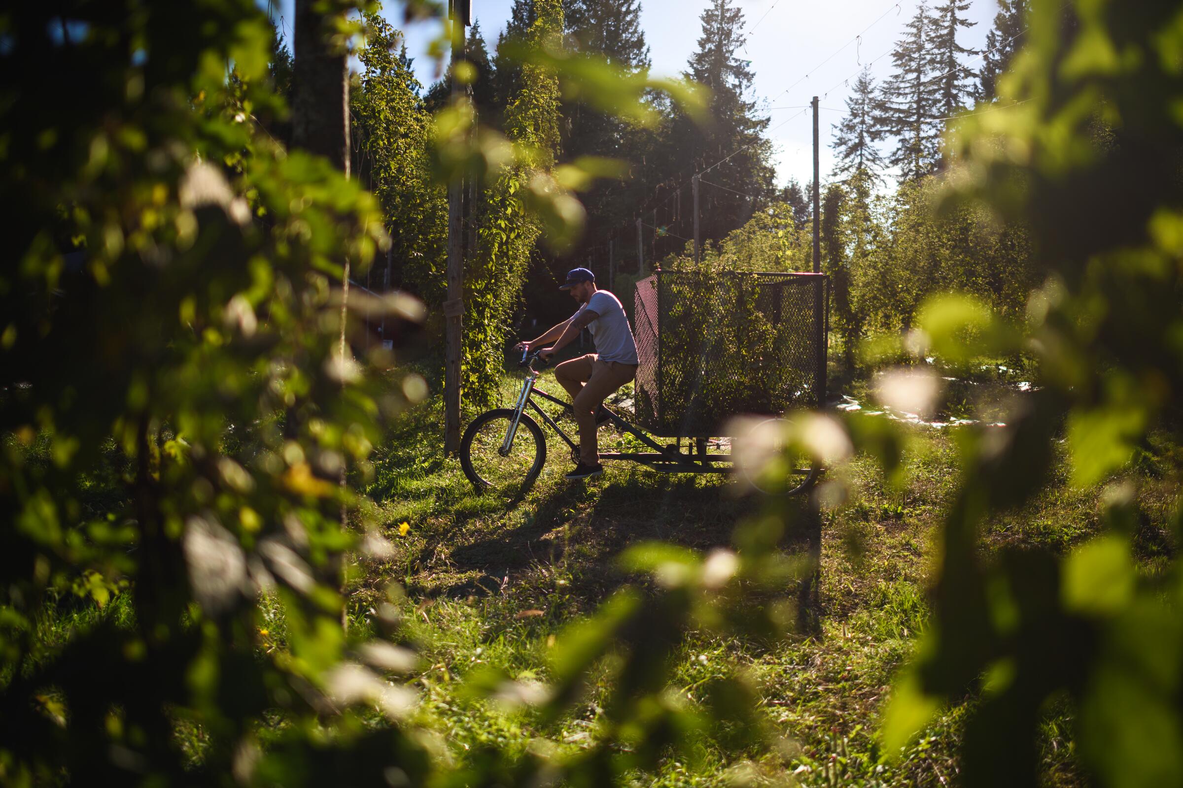 Riverview Loop