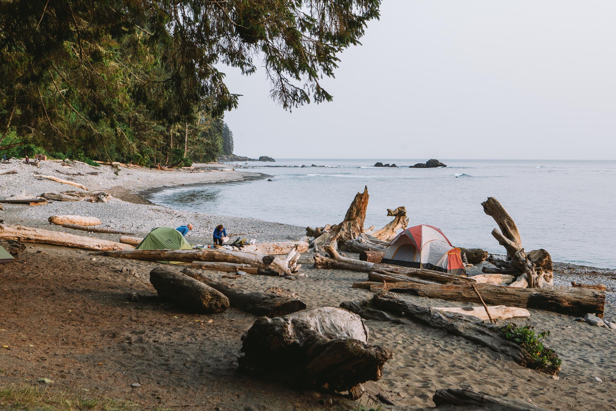 Tents pitched among driftwood on a beach