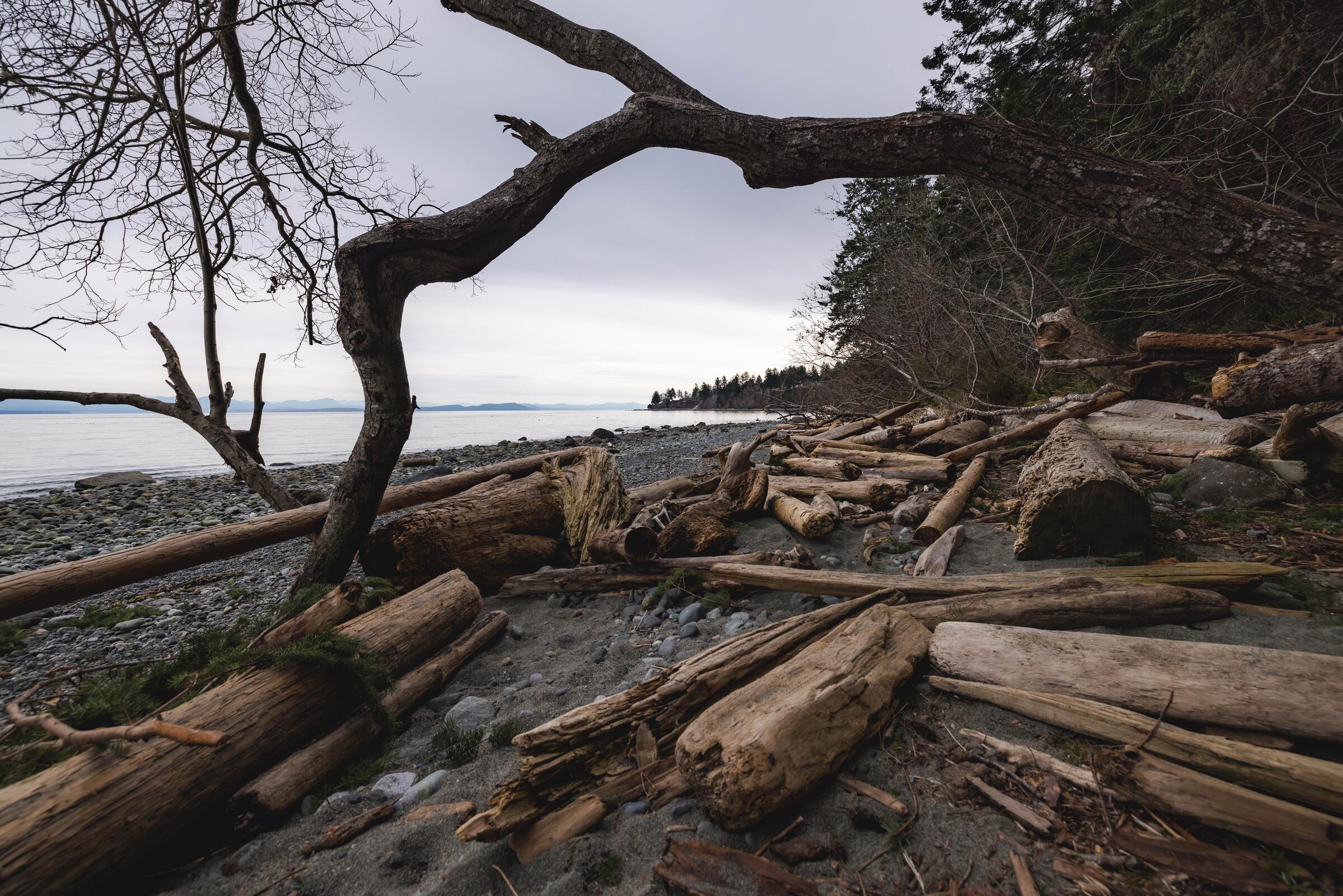 Gravel Loop Comox Valley