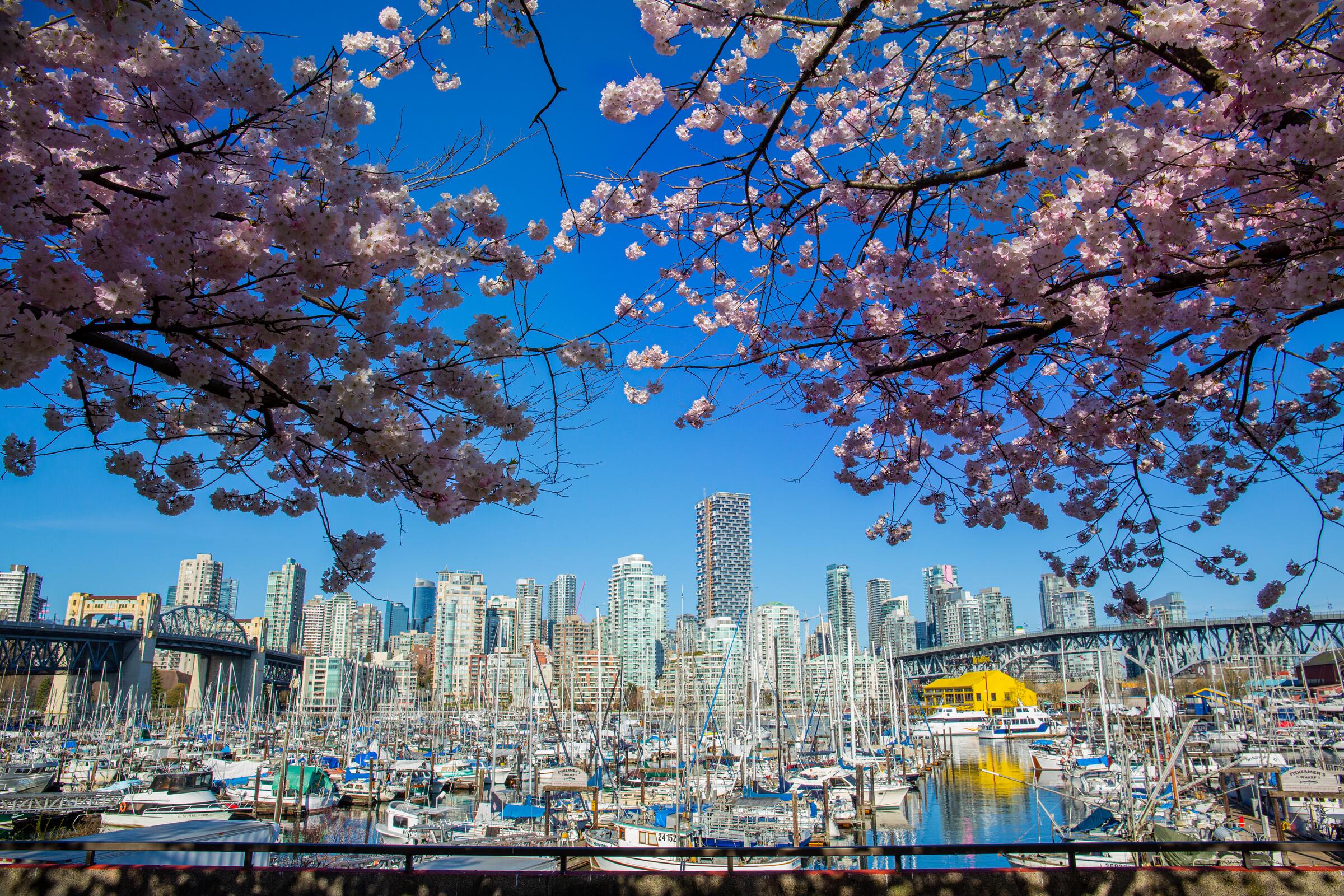 North Van Shakedown