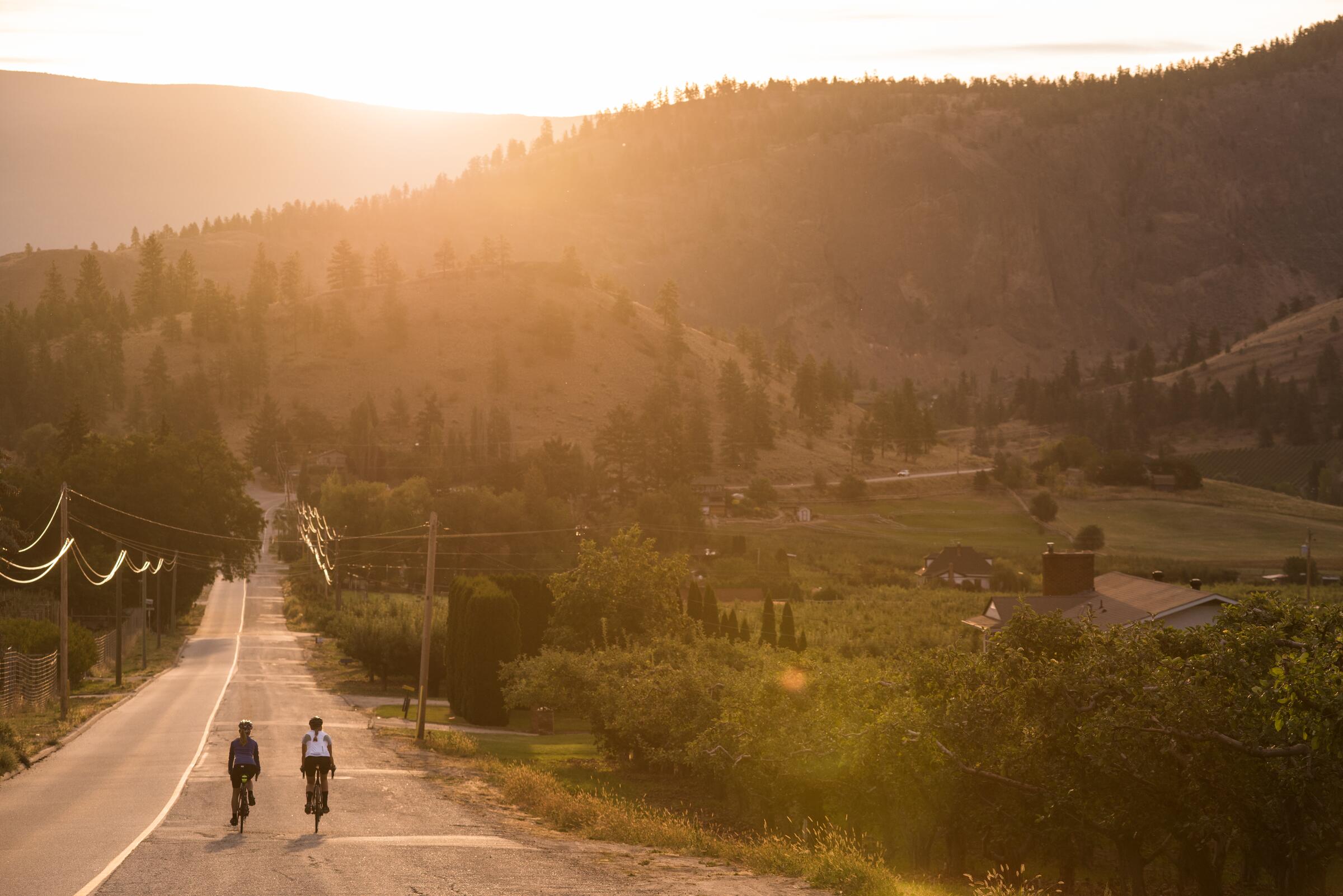 Shuswap No. 6: Carlin, White Lake, Blind Bay
