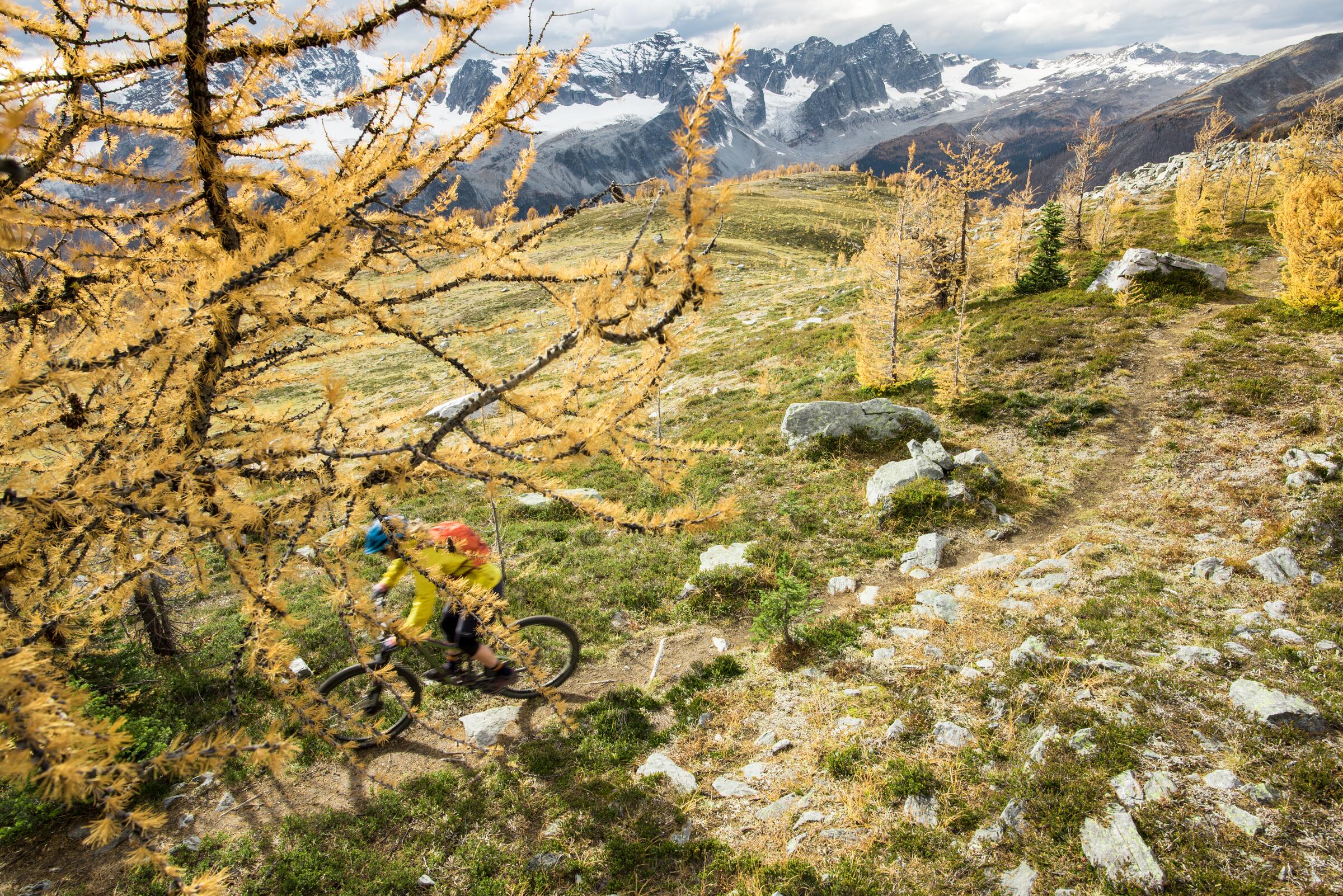 Great Divide Mountain Bike Route (BC Only)
