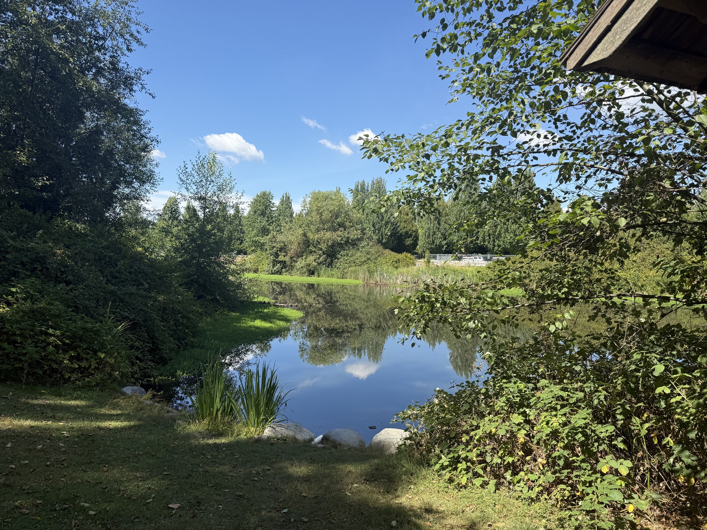 Fraser Loop