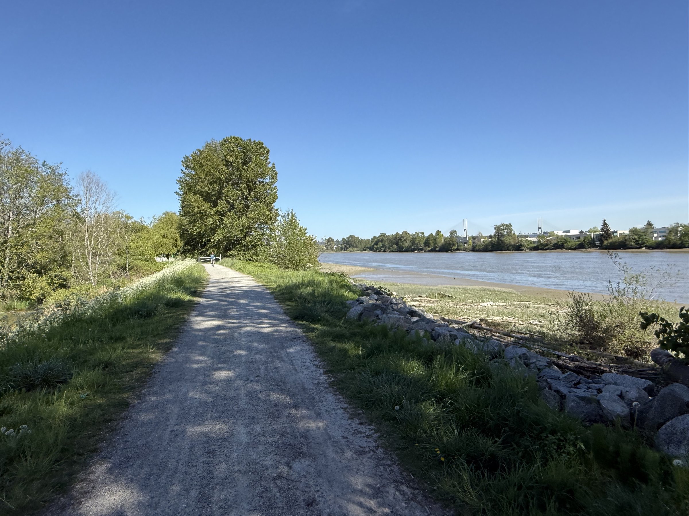 Boundary Bay Dyke Trail