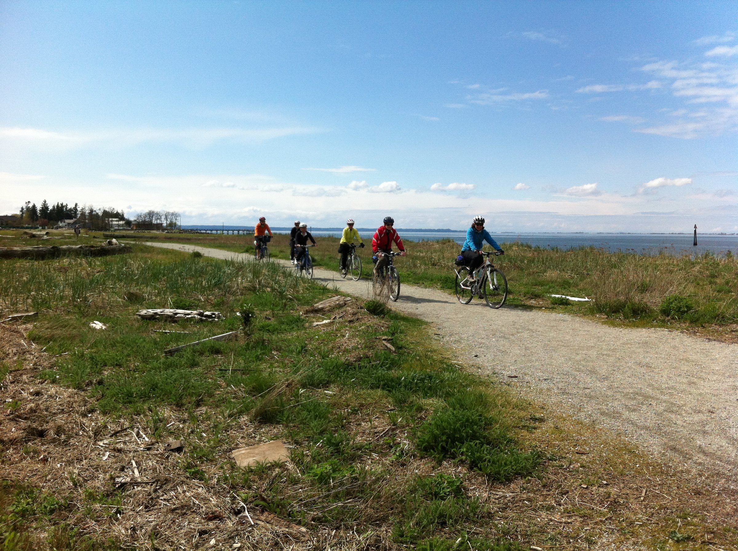 Surrey Shores