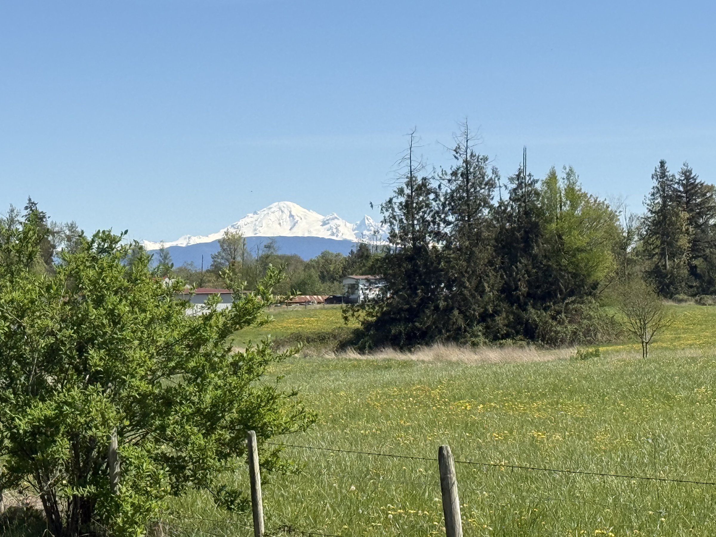 South Langley Trail