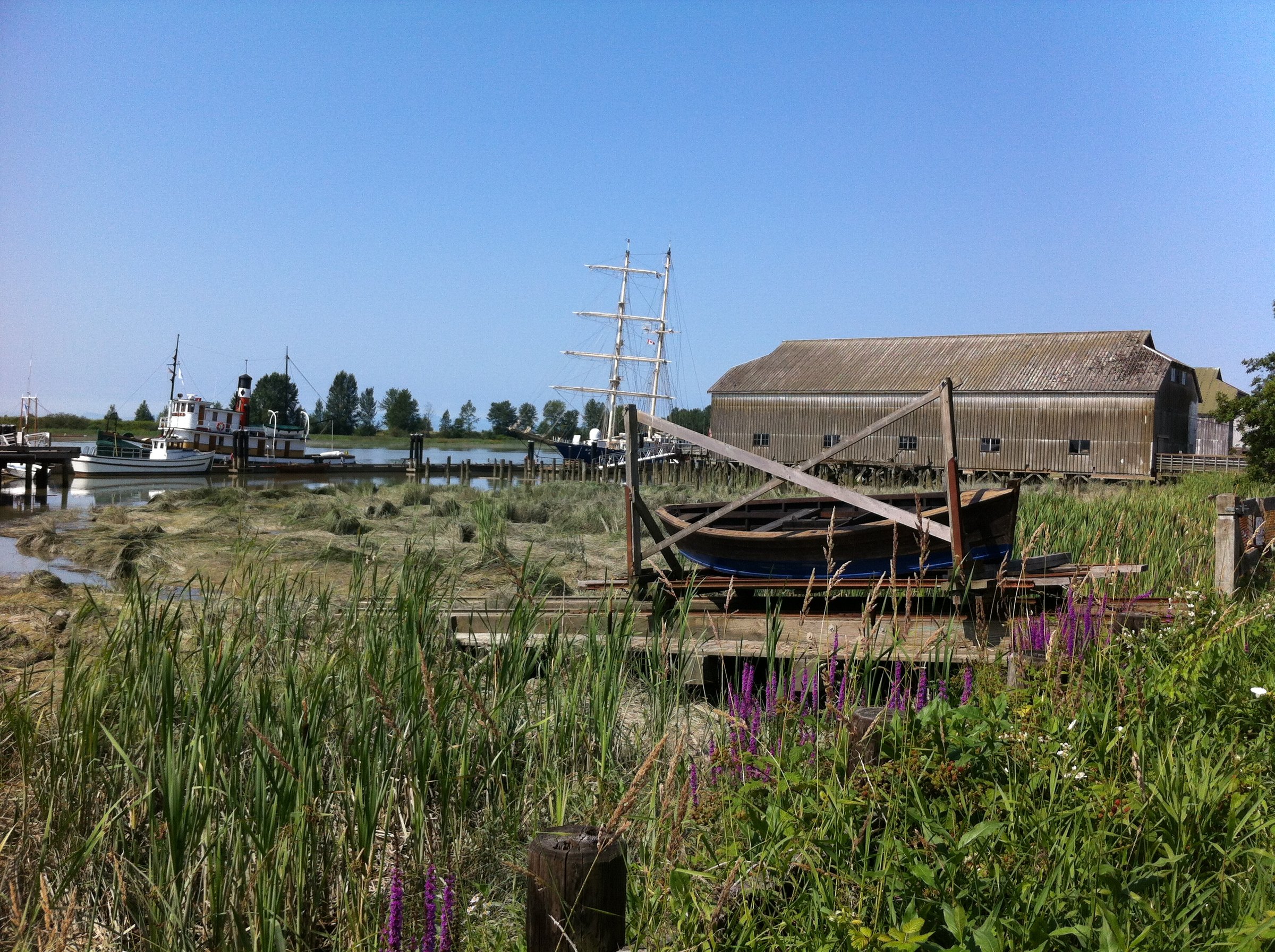 Steveston South Dyke Trail