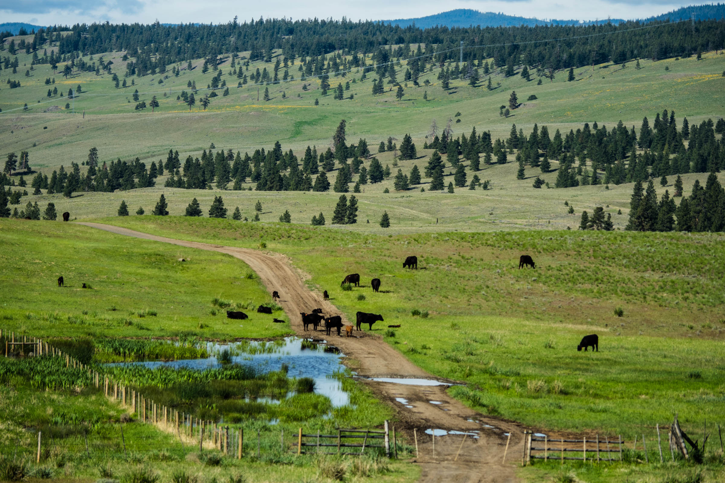 BC Grasslands Circuit