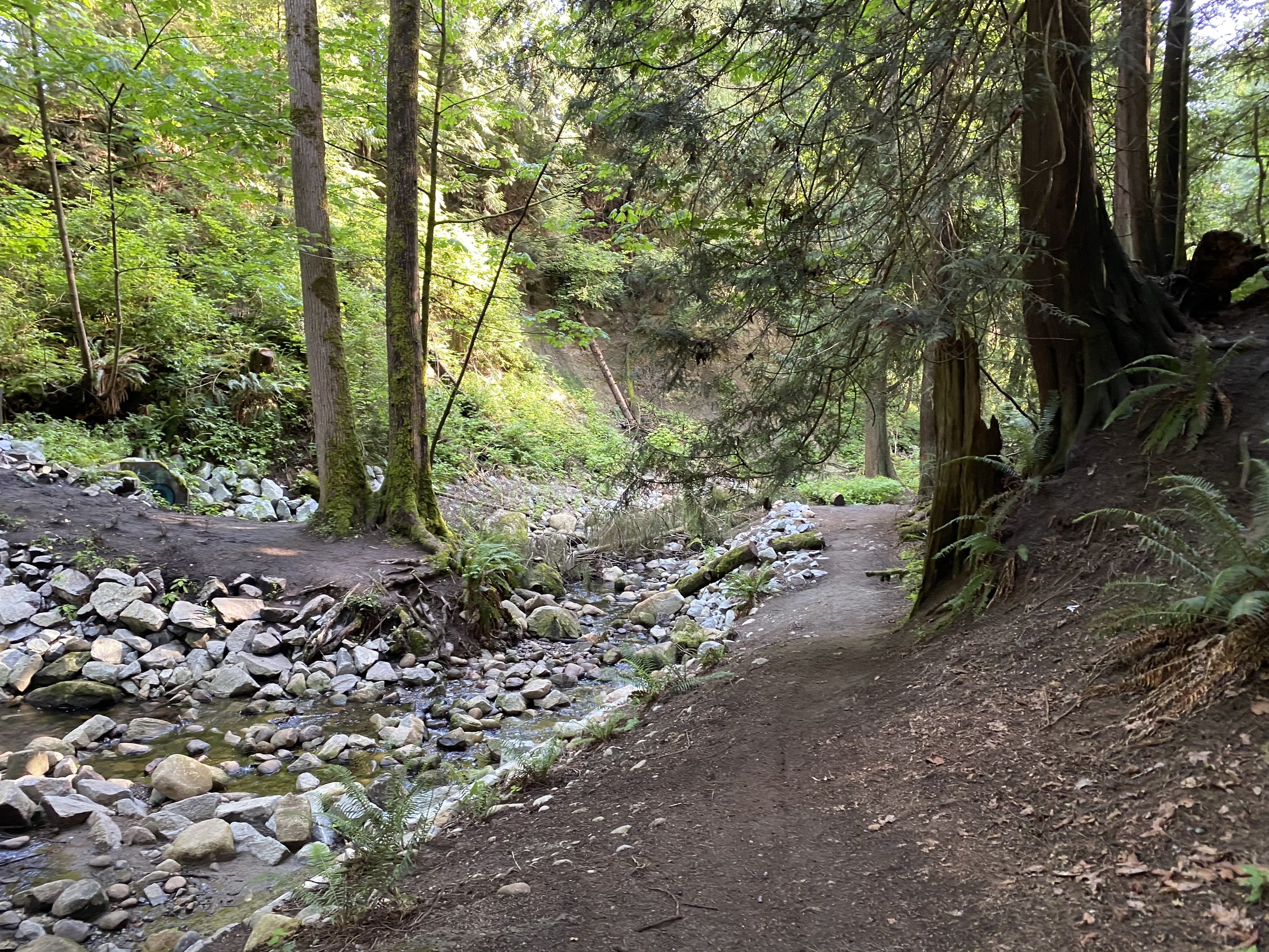 Fraser Shores