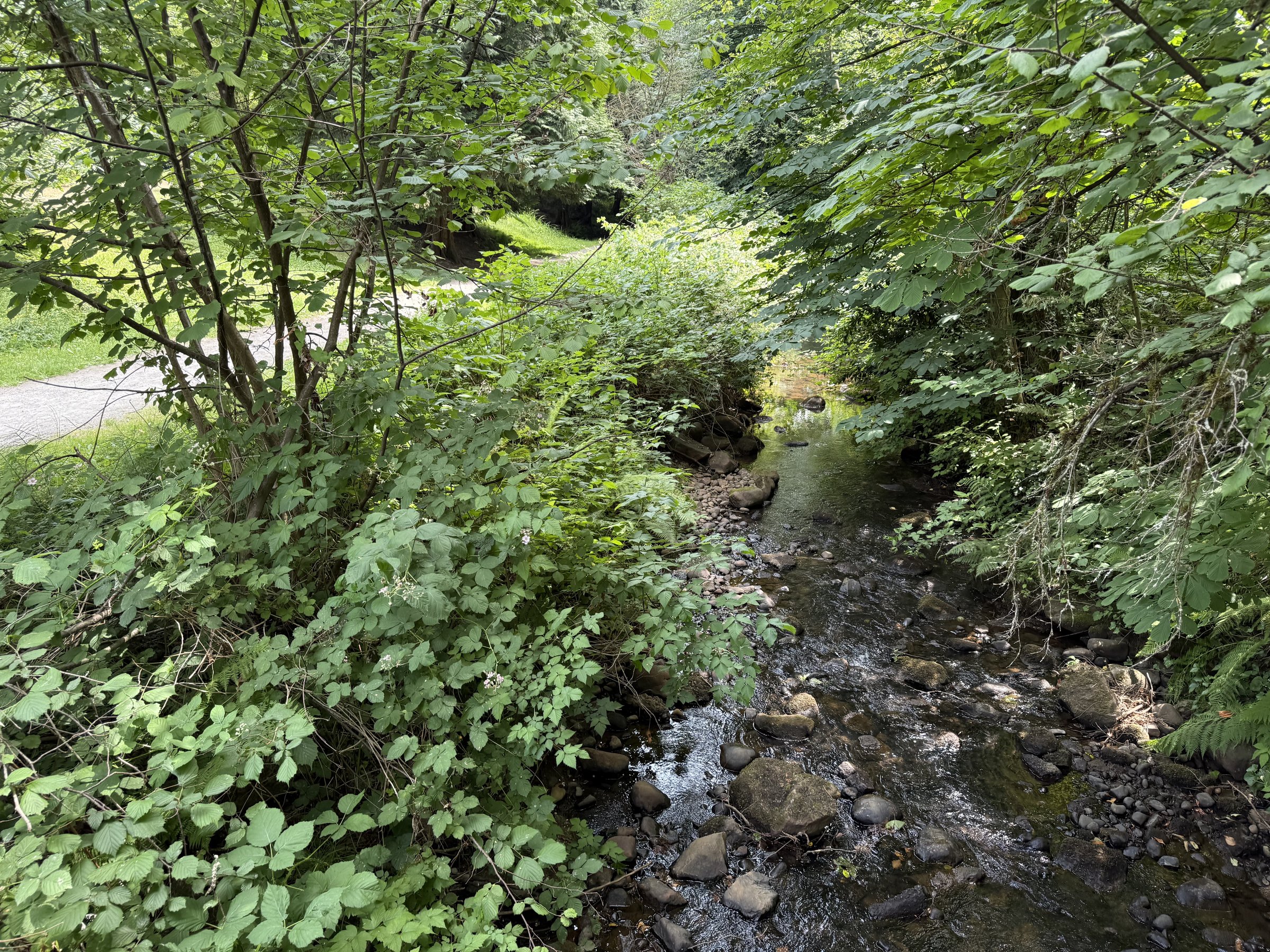 Stoney Creek & Brunette River