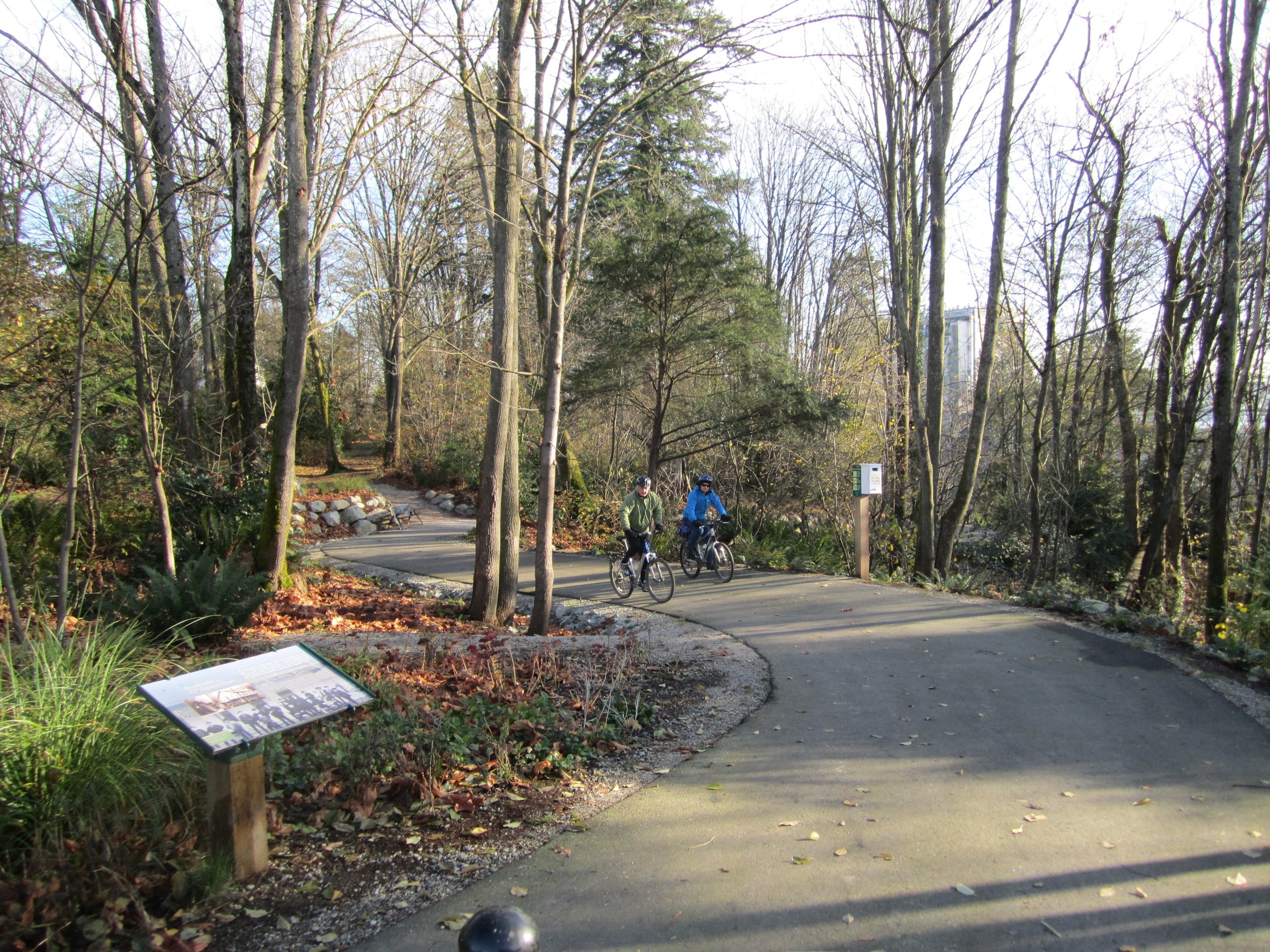 Lynn Creek