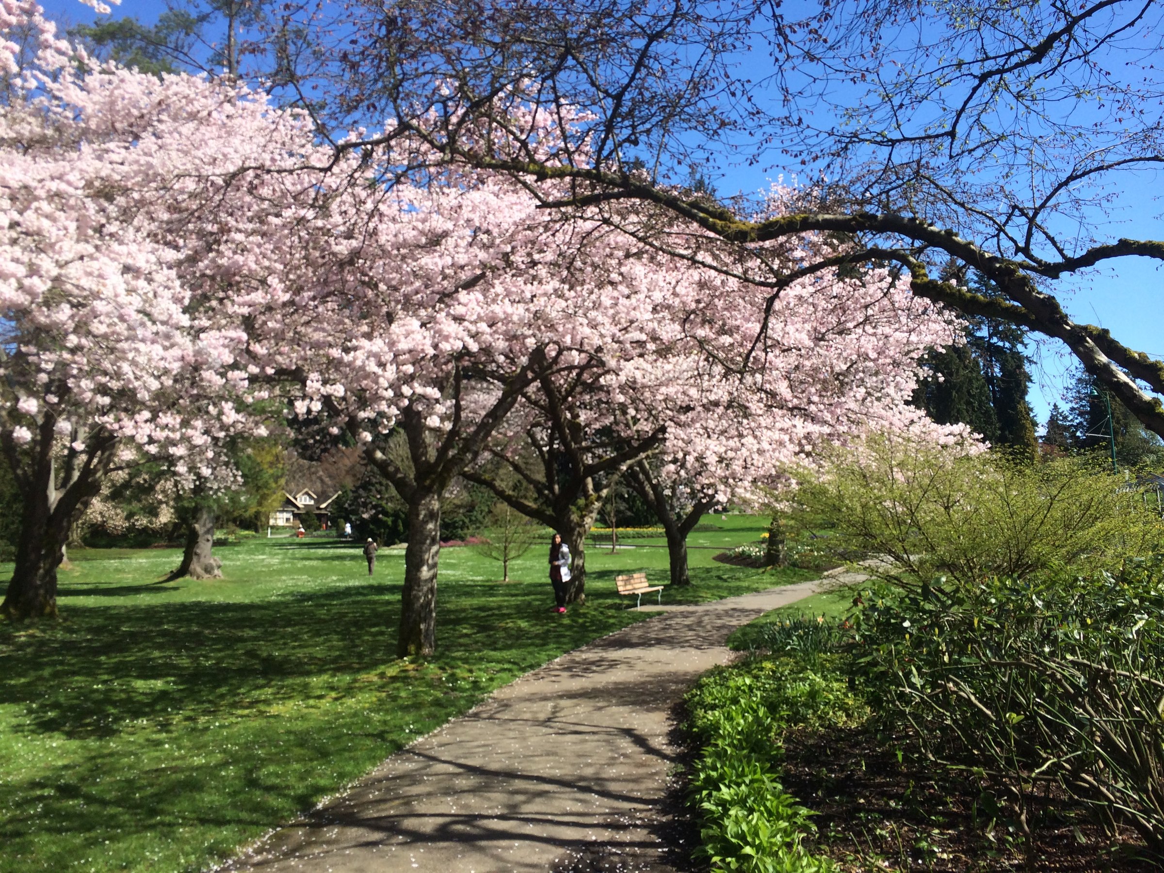 Stanley Park Seawall