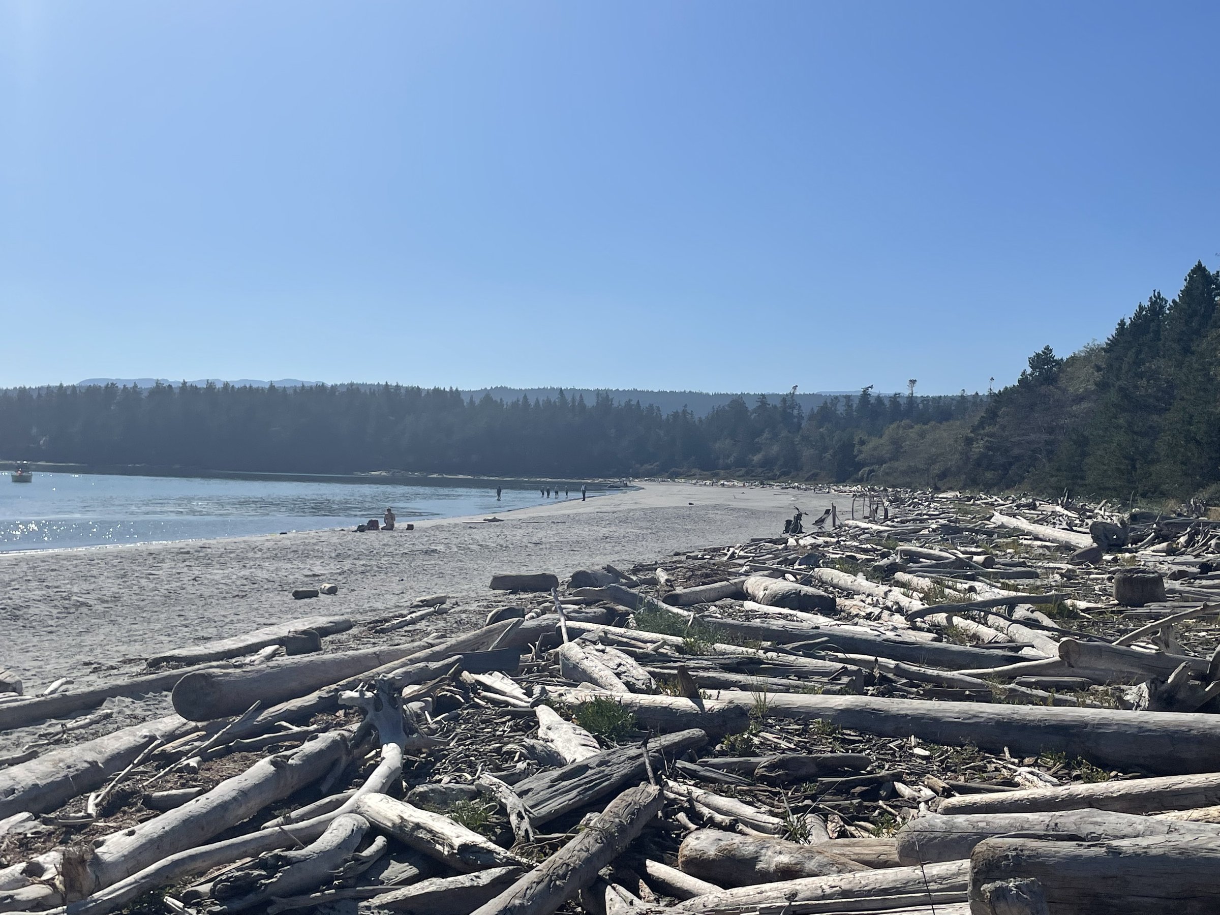 Qualicum Bay - Royston - Denman Island