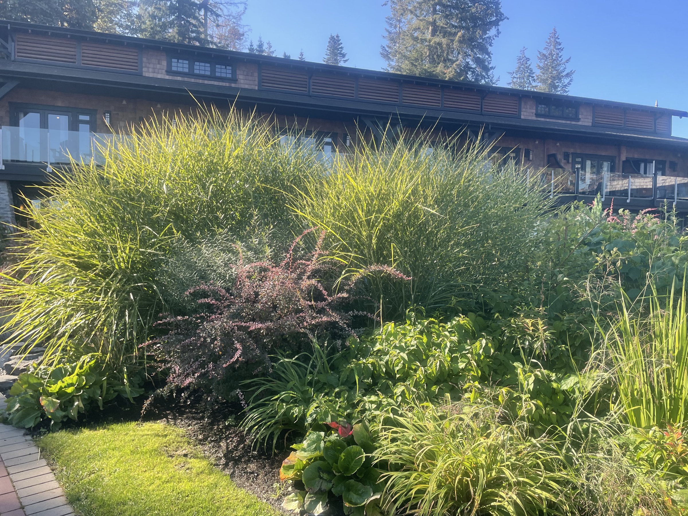 Cumberland - West Courtenay