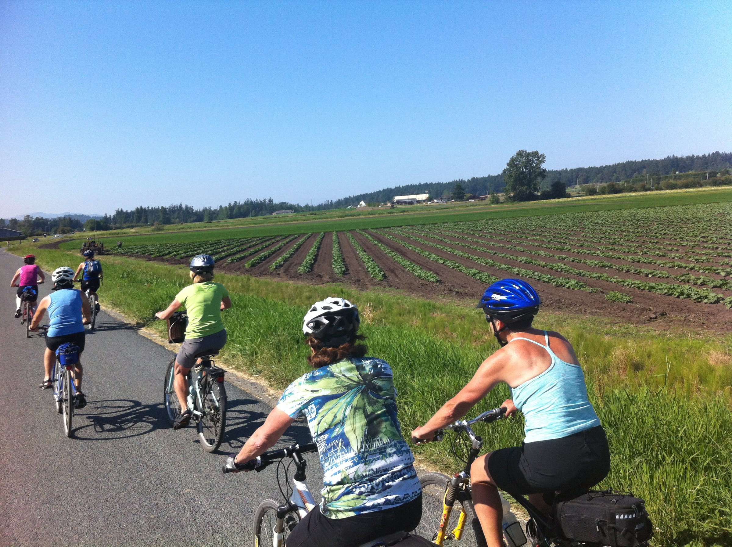 North Saanich