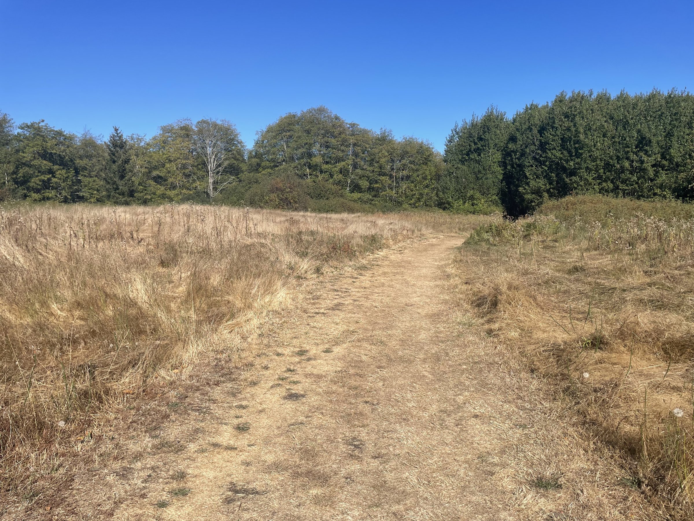 Hornby Island