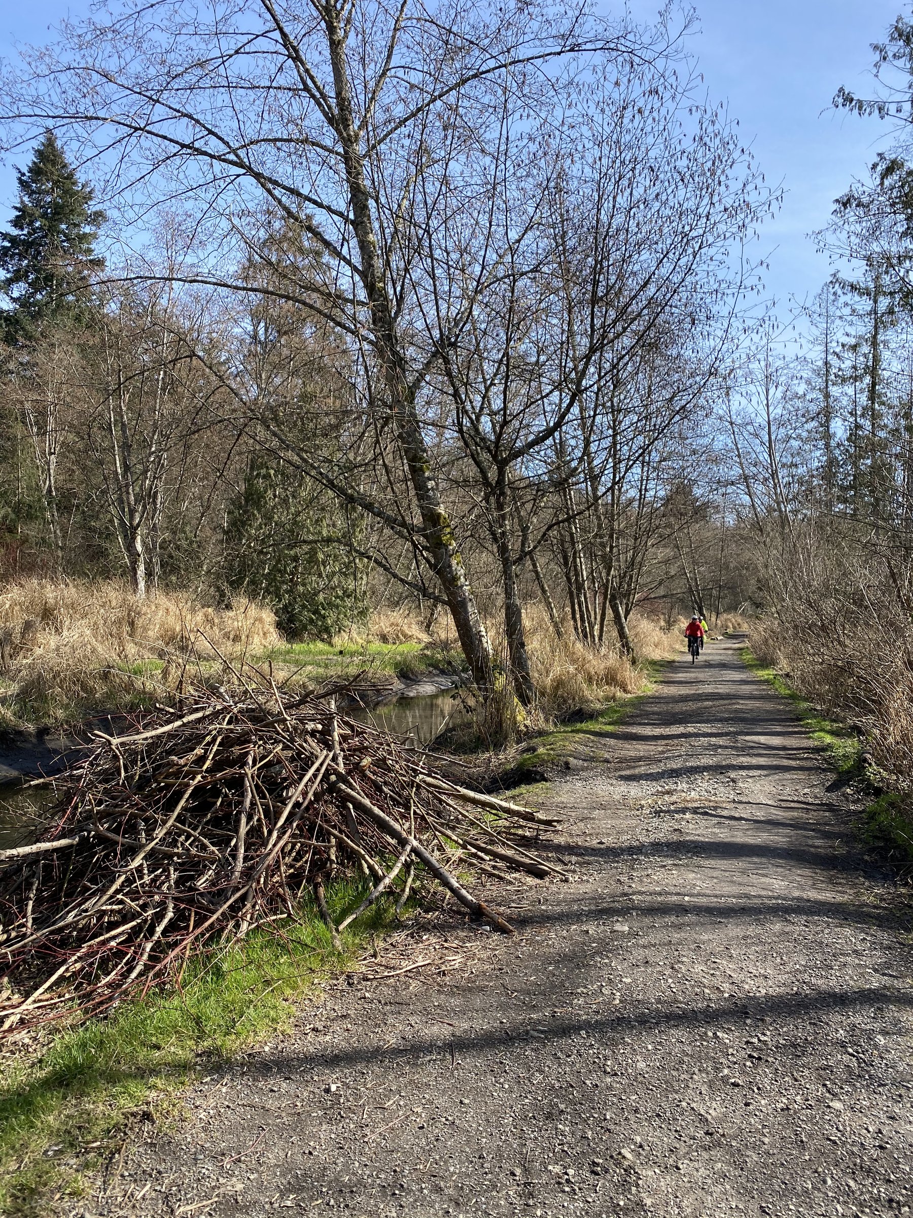 Delta Watershed + Joe Brown Trails