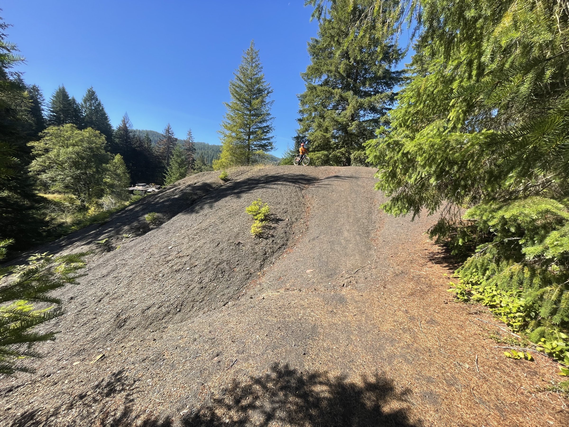 Comox Valley Circle