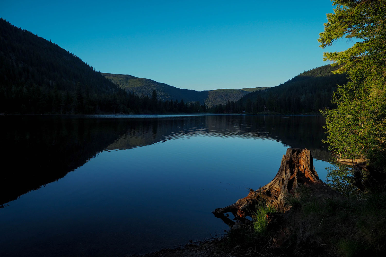 The BC Trail