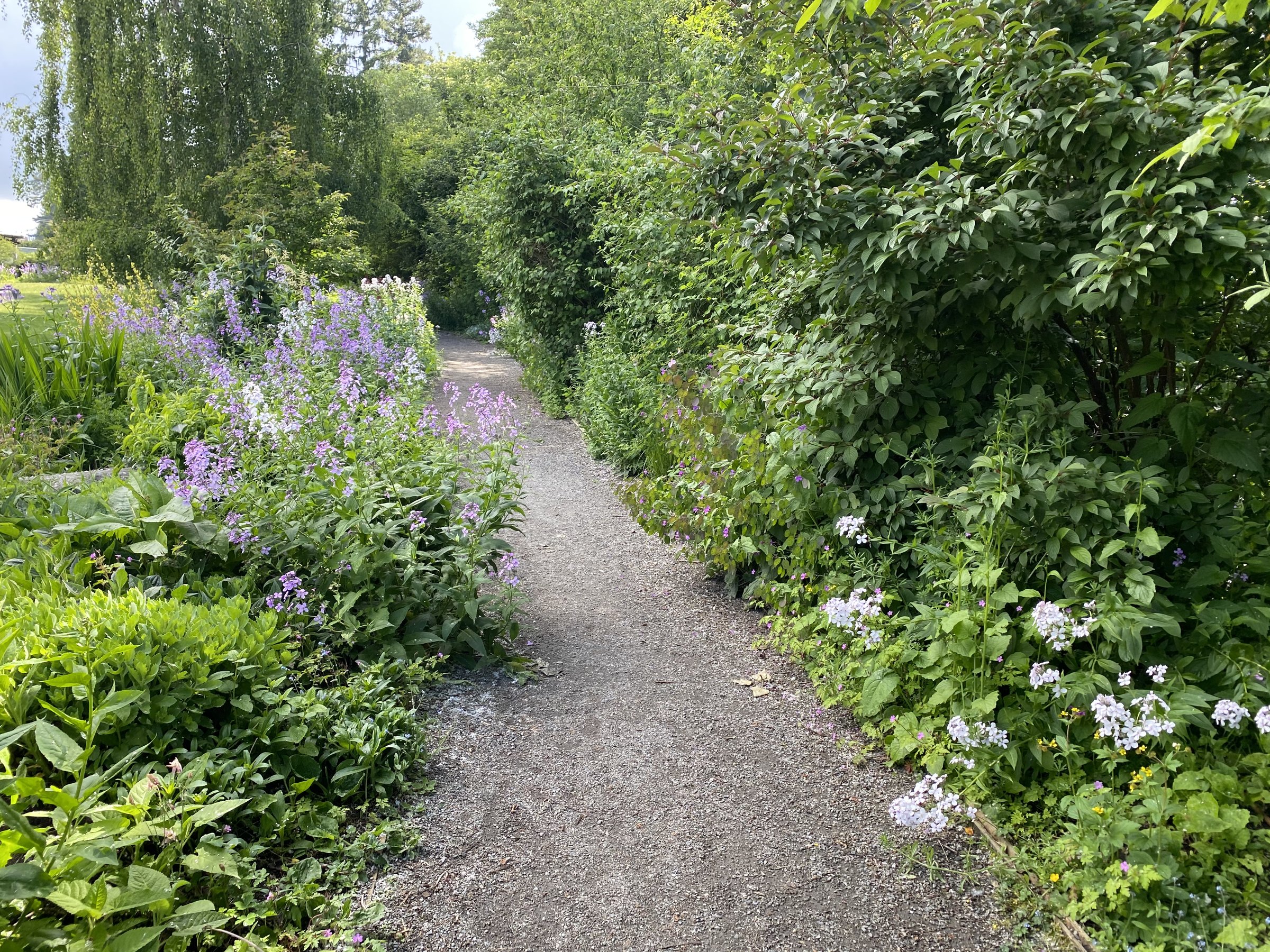 South Surrey Trails