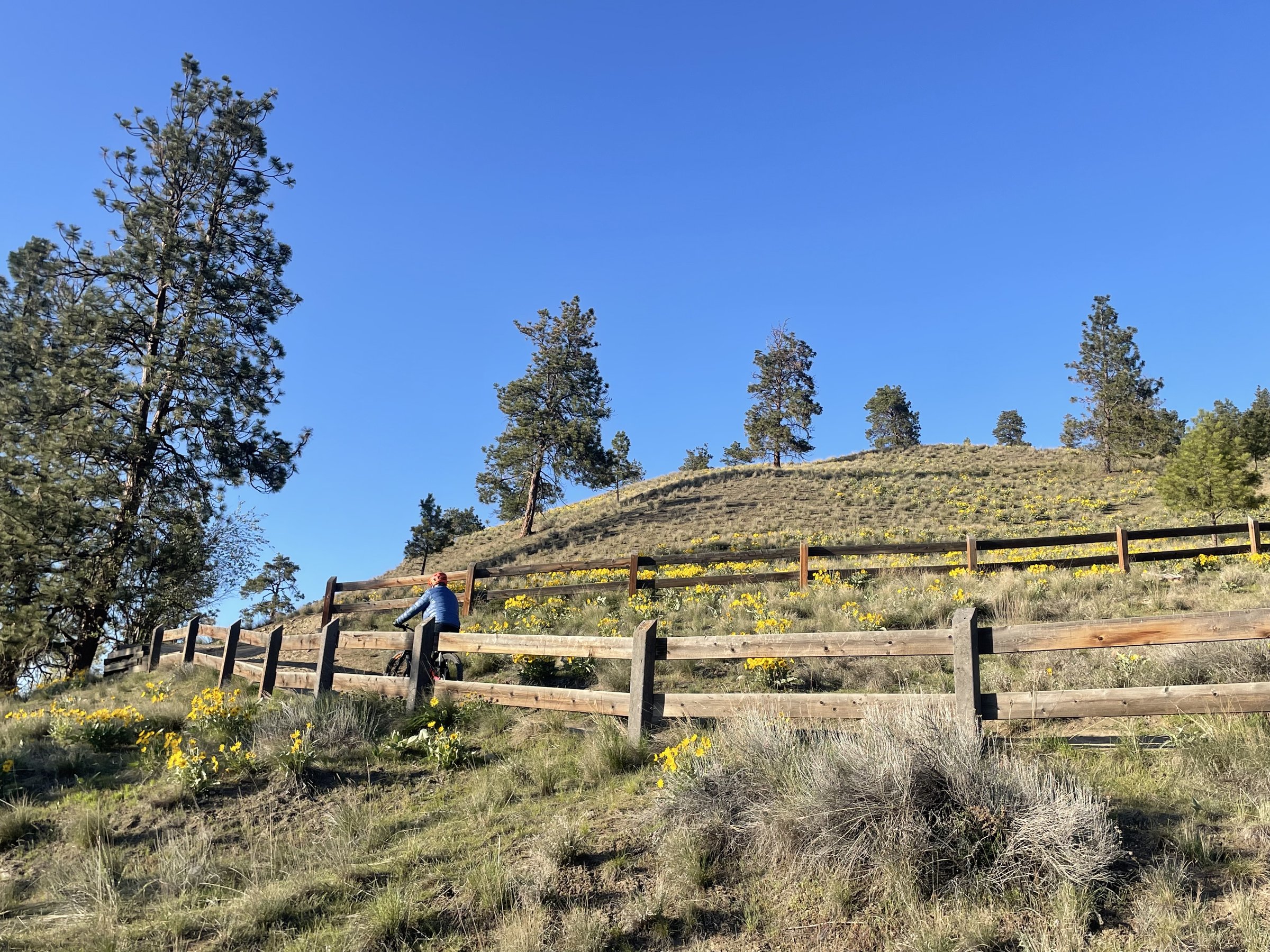 Okanagan Rail Trail - Kelowna