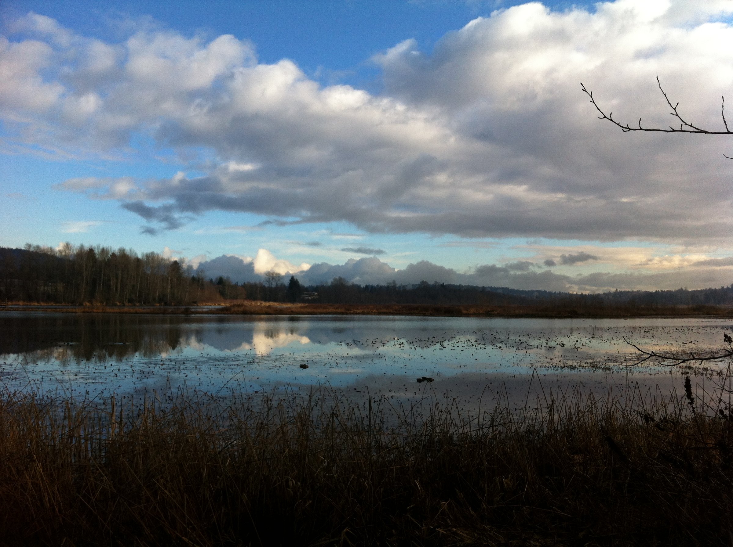 BMUT Lougheed to Gastown